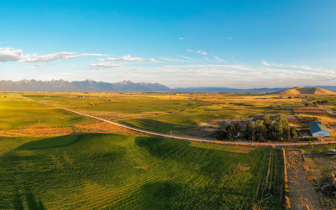 Setting Yourself Up for Success: How to Thrive as a Ranch Manager in a New Role